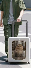 Air Travel Approved Carriers in Pet Carriers & Crates