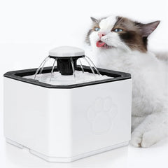 Water Fountain for Cats and Dogs