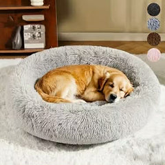 Pet Beds