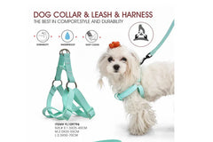 Naomi Pet Harness YL109791- M