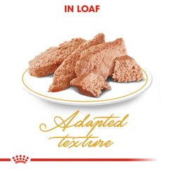 Royal Canin Persian Adult (85 gm\Pouch) - Wet food