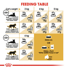 Royal Canin Persian Adult Dry Food – (1+ Year Old)