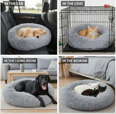 Pet Beds