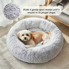 Pet Beds