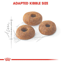 Royal Canin Fit 32 Dry Food for Cats