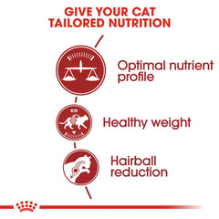Royal Canin Fit 32 Dry Food for Cats