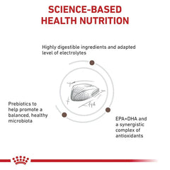 Royal Canin Gastrointestinal For Cat