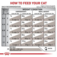 Royal Canin Gastrointestinal For Cat