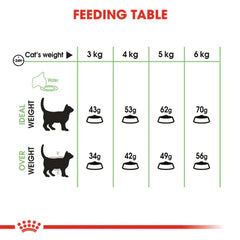Royal Canin Digestive Care Dry Food – (Sensitive Stomachs, Adult Cats)