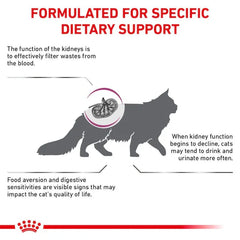 Royal Canin Feline Renal For Cat - Dry food for chronic kidney diseases
