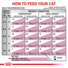 Royal Canin Feline Renal For Cat - Dry food for chronic kidney diseases