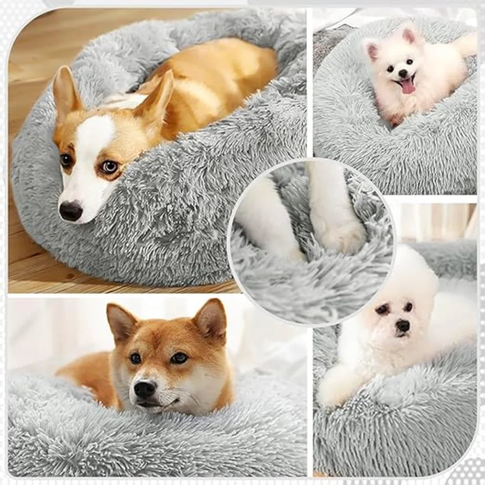 Pet Beds