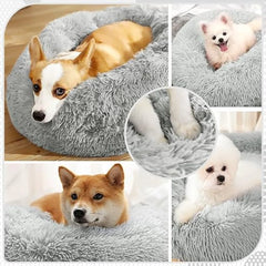 Pet Beds