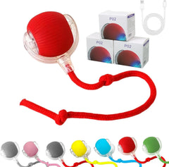 Crazy Pet Ball Toy for Cats & Dogs