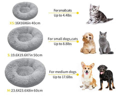 Pet Beds