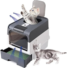 Large Cat Litter Box With Scoop