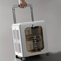 Air Travel Approved Carriers in Pet Carriers & Crates