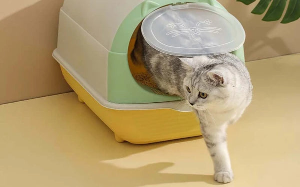 Cat Litter box in a practical holder cat toilet ( DESIGN CAT)