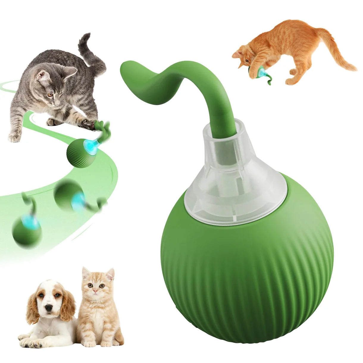 Crazy Pet Ball Toy for Cats & Dogs