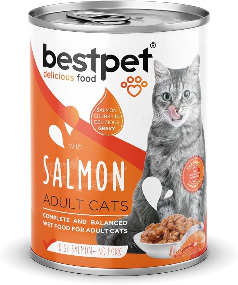 Bestpet wet food with salmon 400 gm