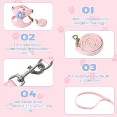 Nunbell Dog Puppy & cat Harness and Lesh