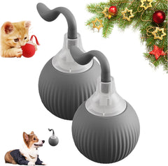 Crazy Pet Ball Toy for Cats & Dogs