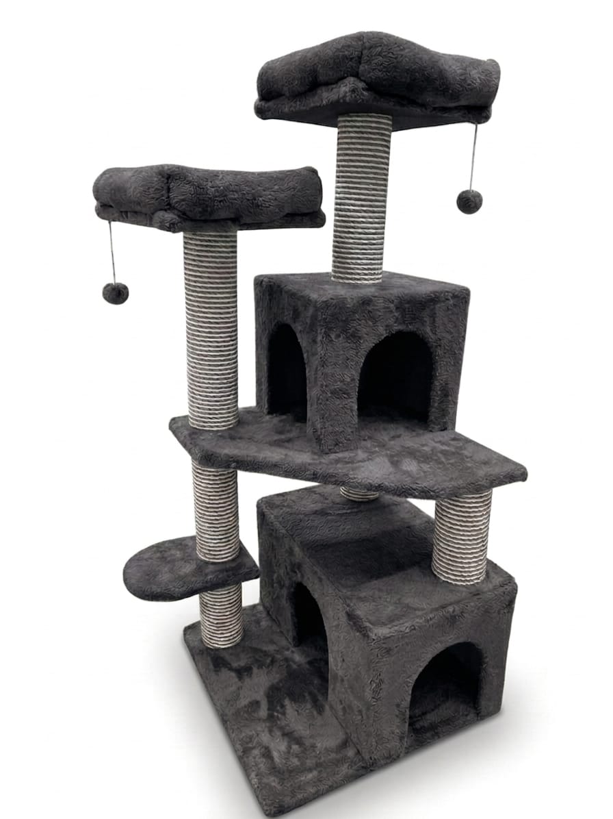 Scratching home cat XX Large