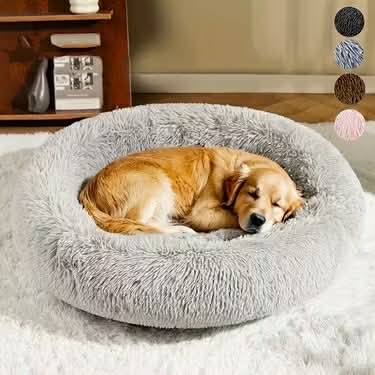 Pet Beds