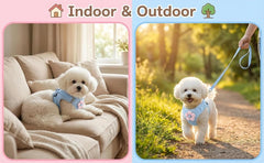 Nunbell Dog Puppy & cat Harness and Lesh