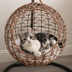 Cat Swing Bed with Stand & Cushion