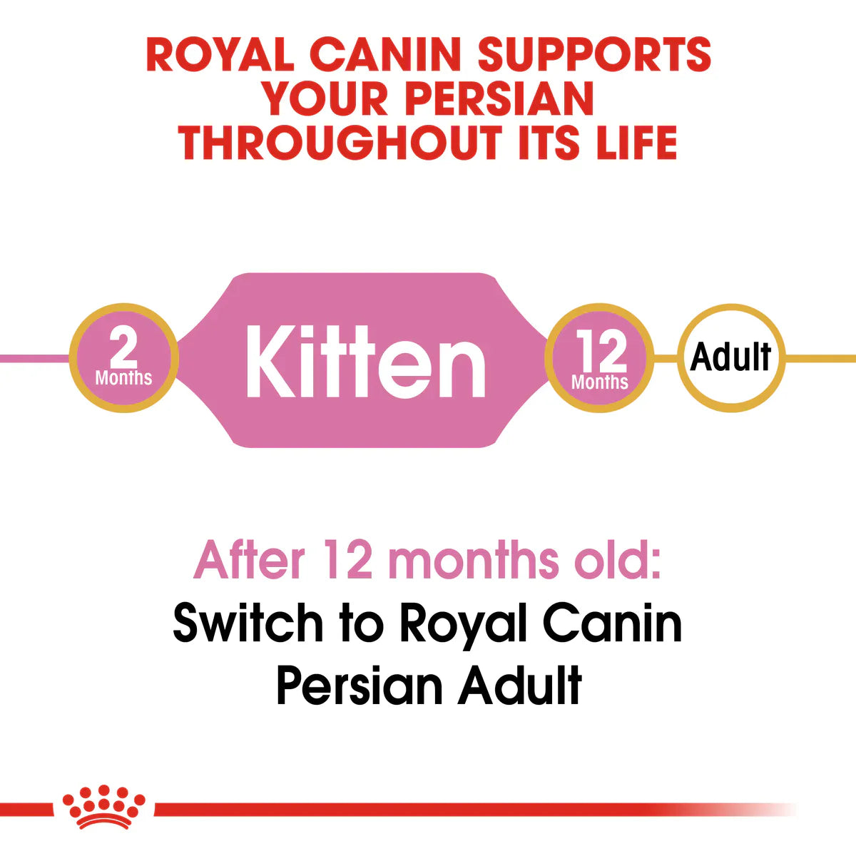 Royal Canin Persian Kitten