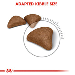 Royal Canin Hairball Care Dry Food – (Hairball Prevention, Adult Cats)