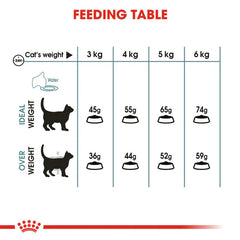 Royal Canin Hairball Care Dry Food – (Hairball Prevention, Adult Cats)