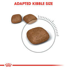 Royal Canin Urinary Care Dry Food – (Adult, Urinary Tract Support)