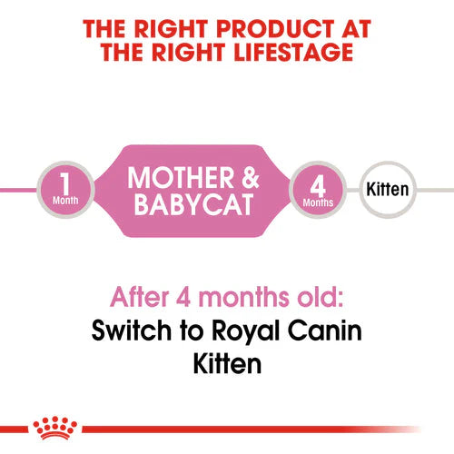 Royal Canin Mother & Babycat Dry Food – (Queen & Kitten)