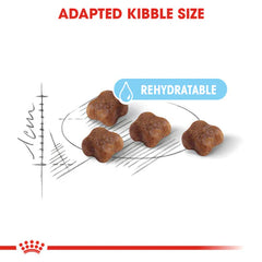 Royal Canin Mother & Babycat Dry Food – (Queen & Kitten)