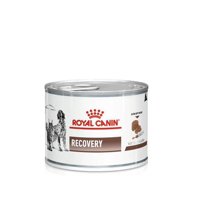 Royal Canin Recovery (195 gm) – Wet food for convalescence intensive care