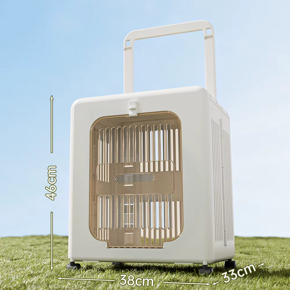 Air Travel Approved Carriers in Pet Carriers & Crates