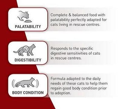 Royal Canin SC 365D - Dry food for Sterilised Adult Cats