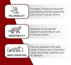 Royal Canin SC 365D - Dry food for Sterilised Adult Cats