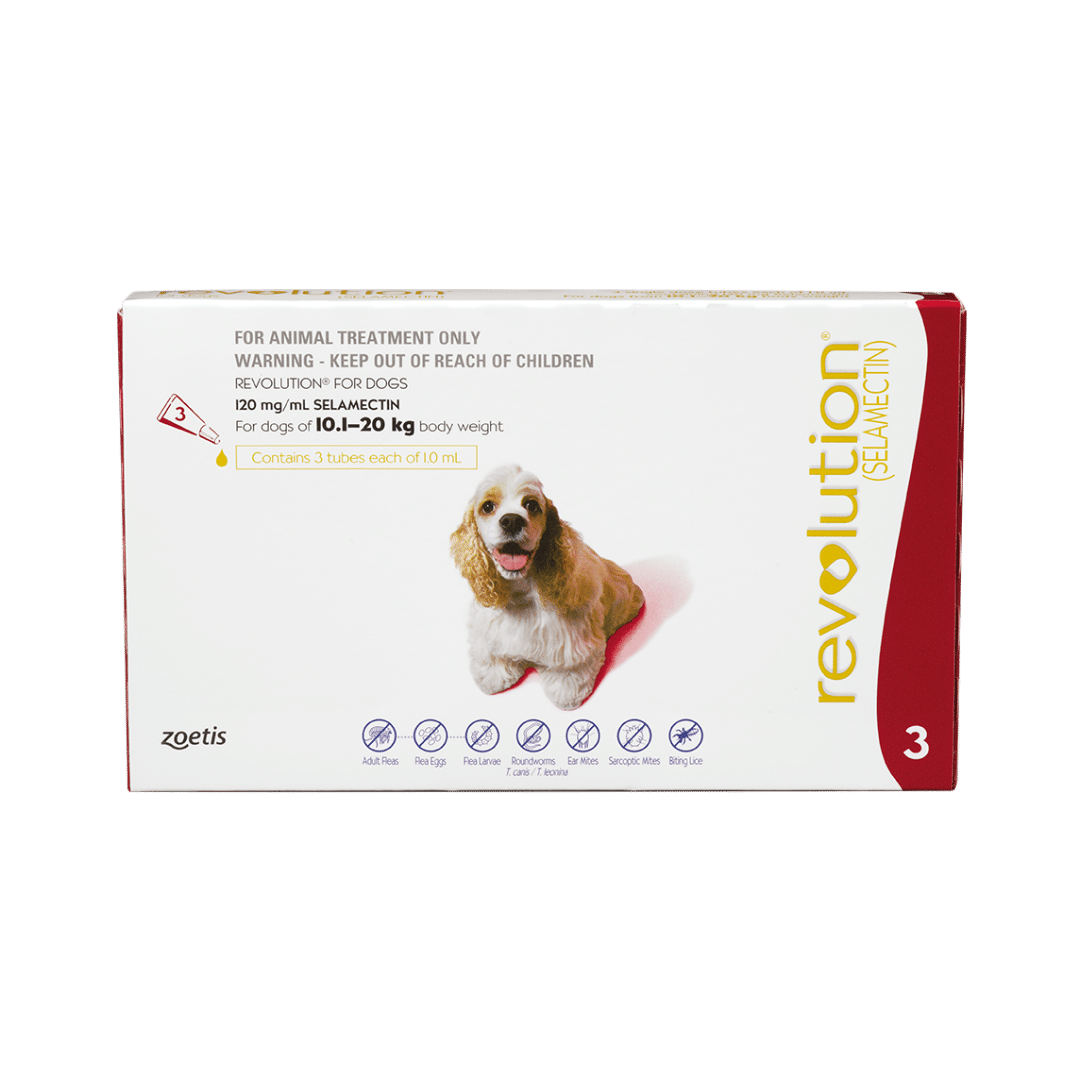 Revolution Topical Solution for Dogs,  20.1-40 lbs - 1 Pipette