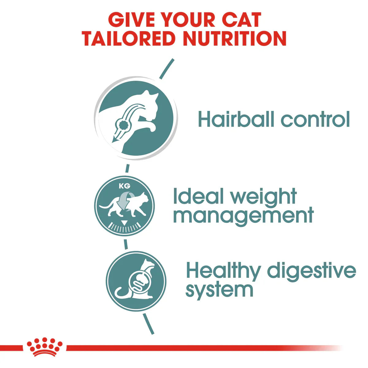 Royal Canin Hairball care (85gm\ Pouch) - Wet food for adult cats