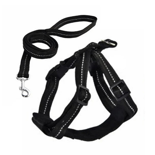 Naomi Pet Leash YL117367-M YL117368 (BLACK/BLUE)