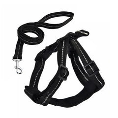 Naomi Pet Leash YL117367-M YL117368 (BLACK/BLUE)