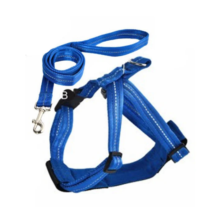Naomi Pet Leash YL117367-M YL117368 (BLACK/BLUE)