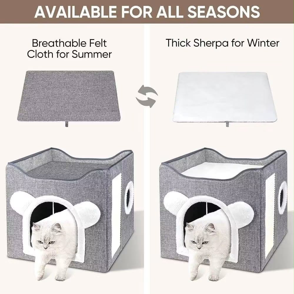Pet House & scratching