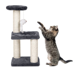 Scratching cat