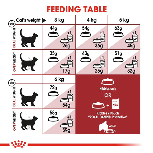 Royal Canin Fit 32 Dry Food for Cats