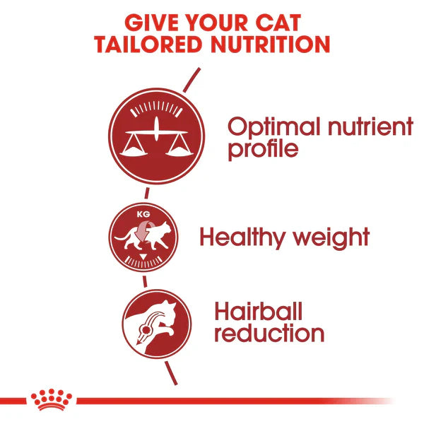 Royal Canin Fit 32 Dry Food for Cats