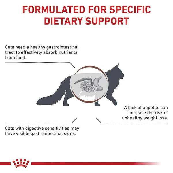 Royal Canin Gastrointestinal For Cat